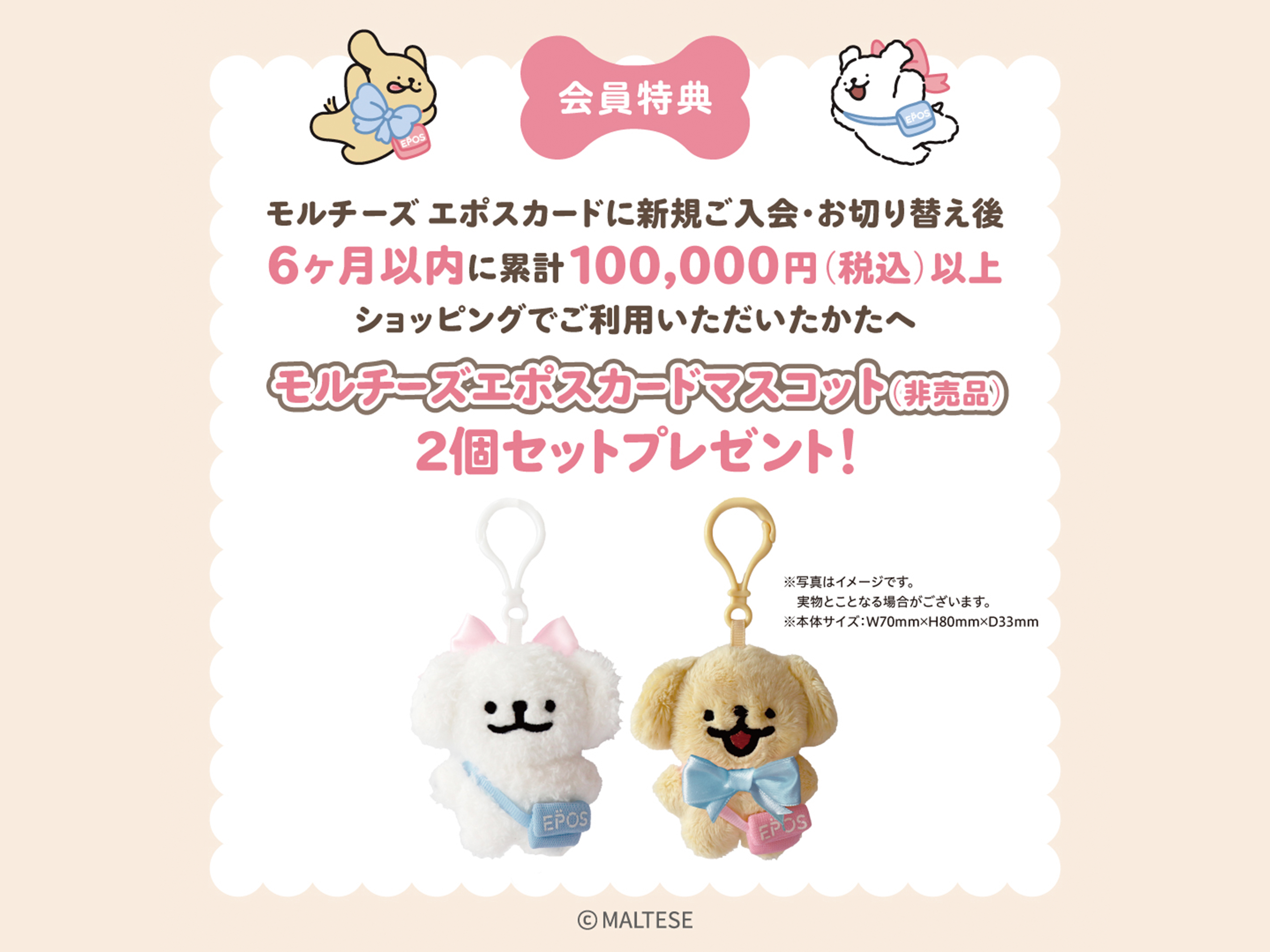 エポス5.jpg